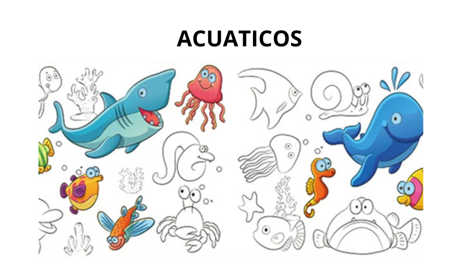 ROLLOS DE DIBUJO INFANTIL